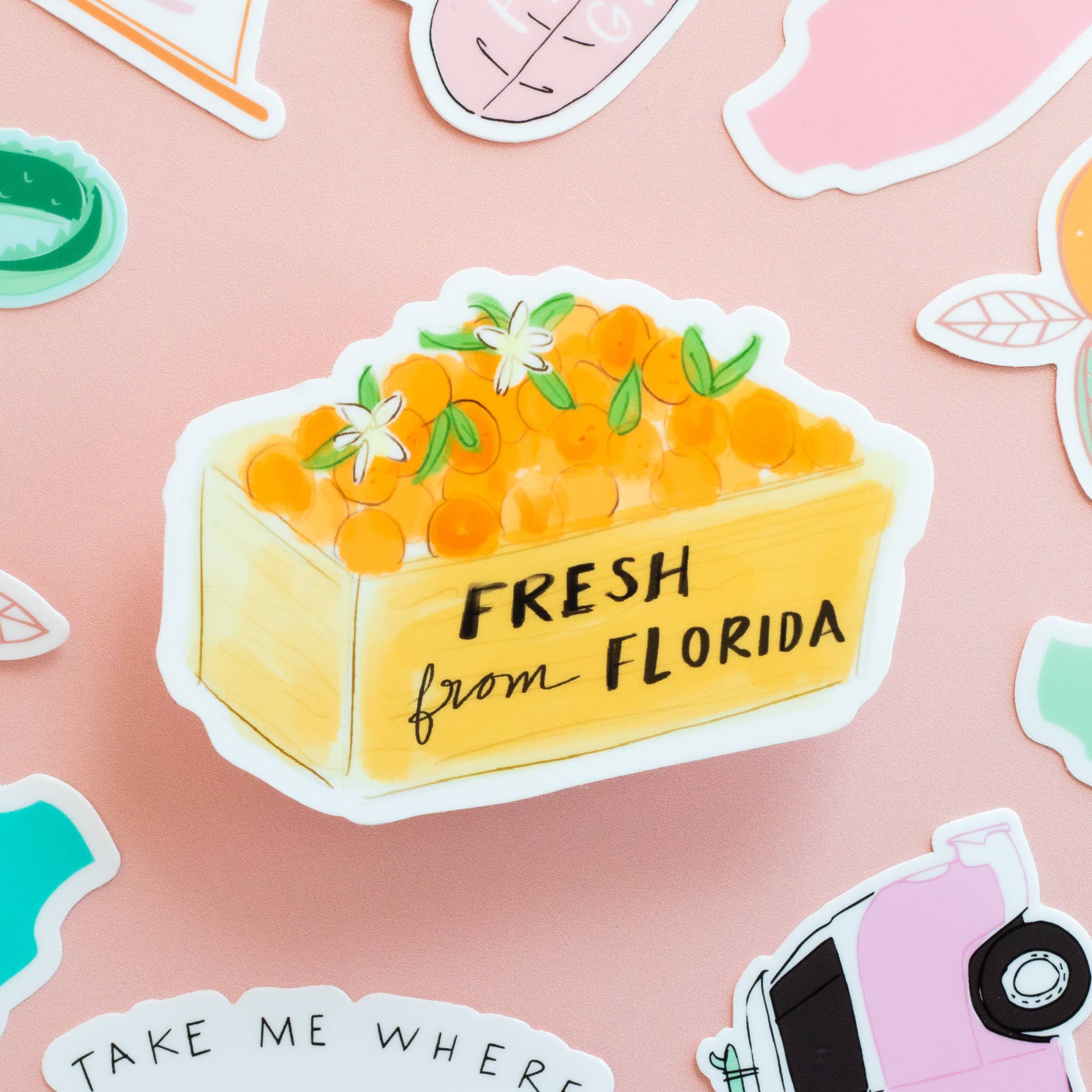 Declaration & Co - Wholesale Sticker - Fresh From Florida Sticker1