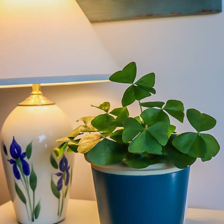 Große Lampe mit Schirm für den Großhandel von Emerson Creek Pottery