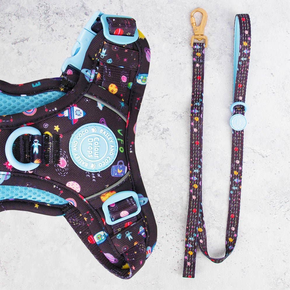 Bailey and Coco – wholesale Pet leash – Dog – Trail & Glow® Dog Lead 5ft - COLOUR DROPS® - Space Paws0