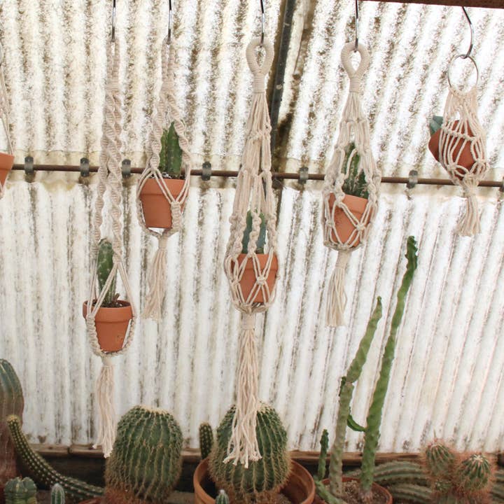 Soul of the Party - Vendita all'ingrosso Fioriere a sospensione - Mini appendiabiti per piante - Può contenere mini fette/fioriera in legno