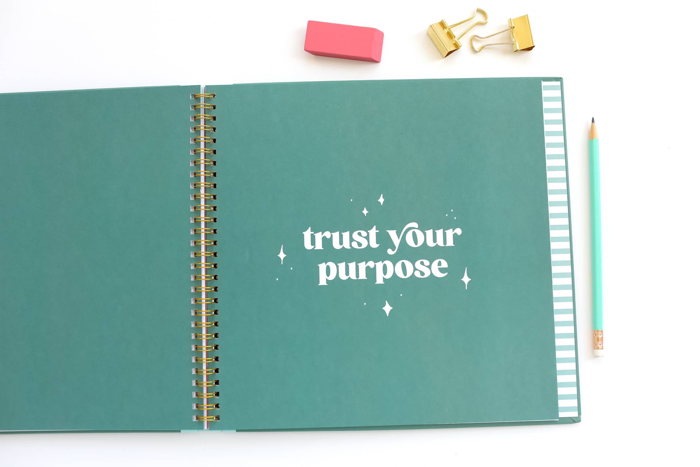 Paper Peony Press - Wholesale Memory Book - Kids & Baby - The School Years Memory Book: A Timeless School Memory Book7