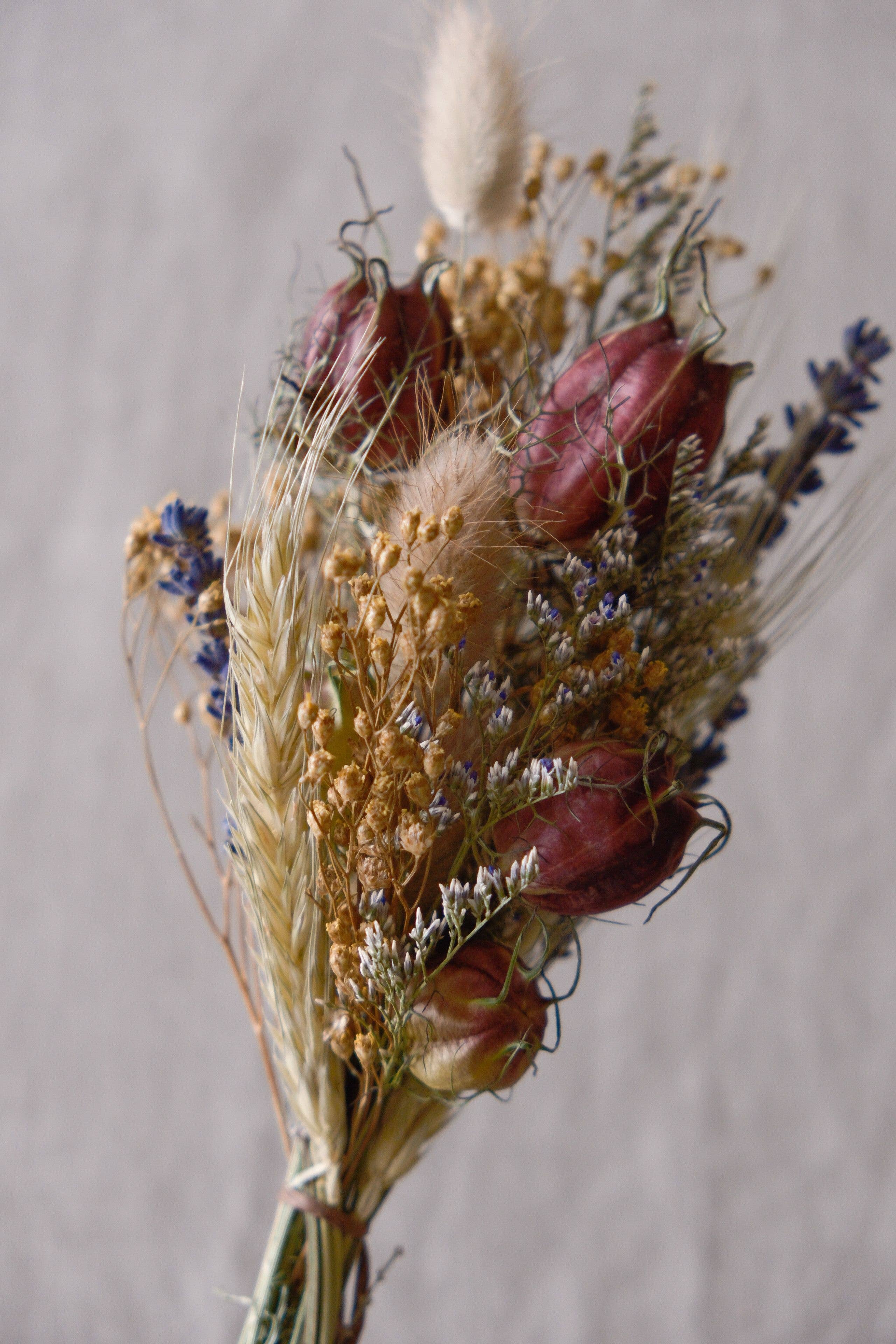 Hazel & Twine - Wholesale Dried/Pressed Flowers - Florist Pick - Mini Dried Flower Bunch - Natural Tones 1