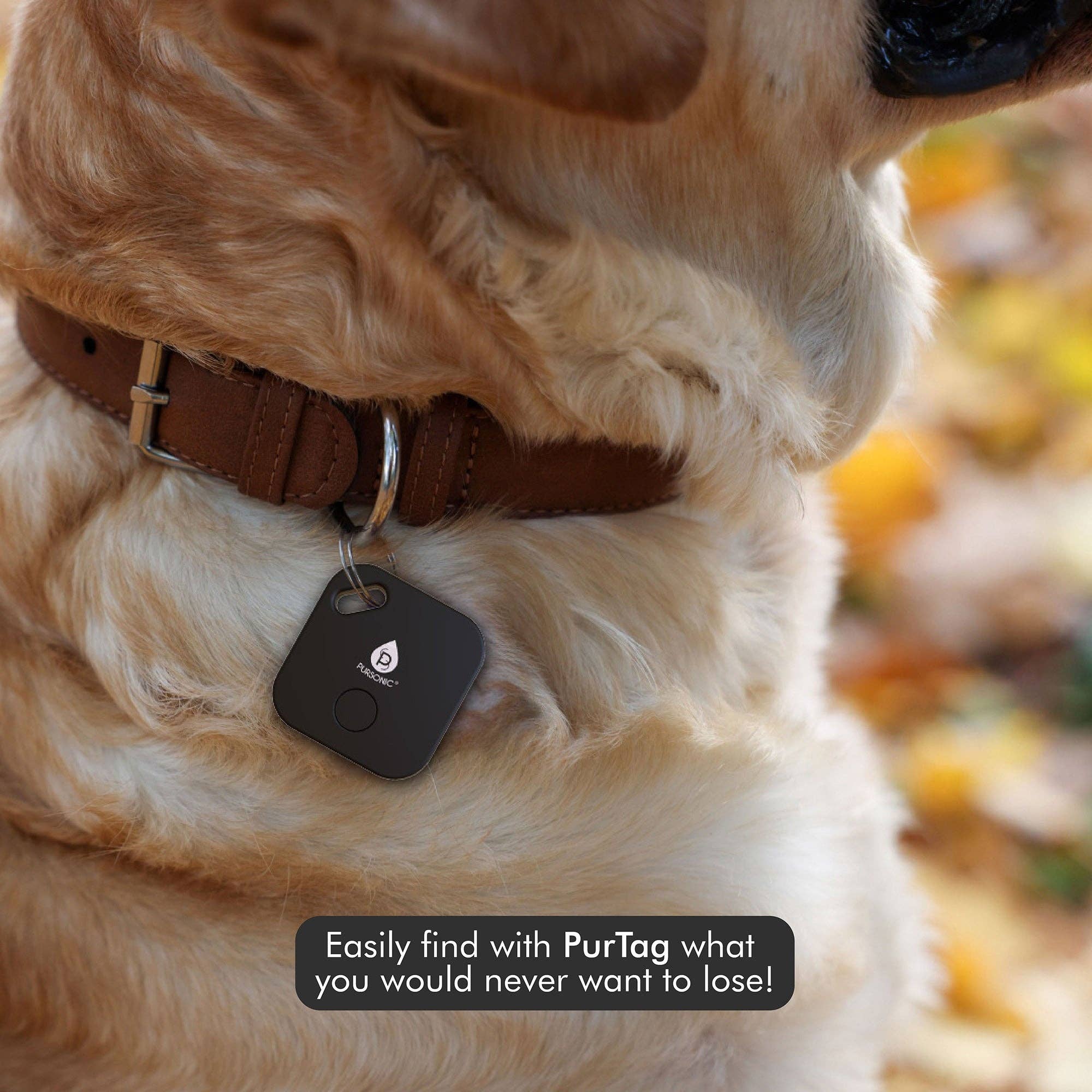 Pursonic - Wholesale Pet Identification Tag - Cat/Dog - Purtag Tracker2