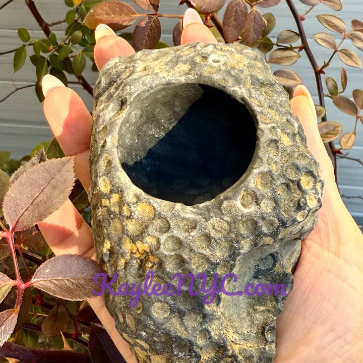 KayleeNYC - Wholesale Decorative Plate/Dish/Bowl - Natural Fossil Coral Bowls Crystal2