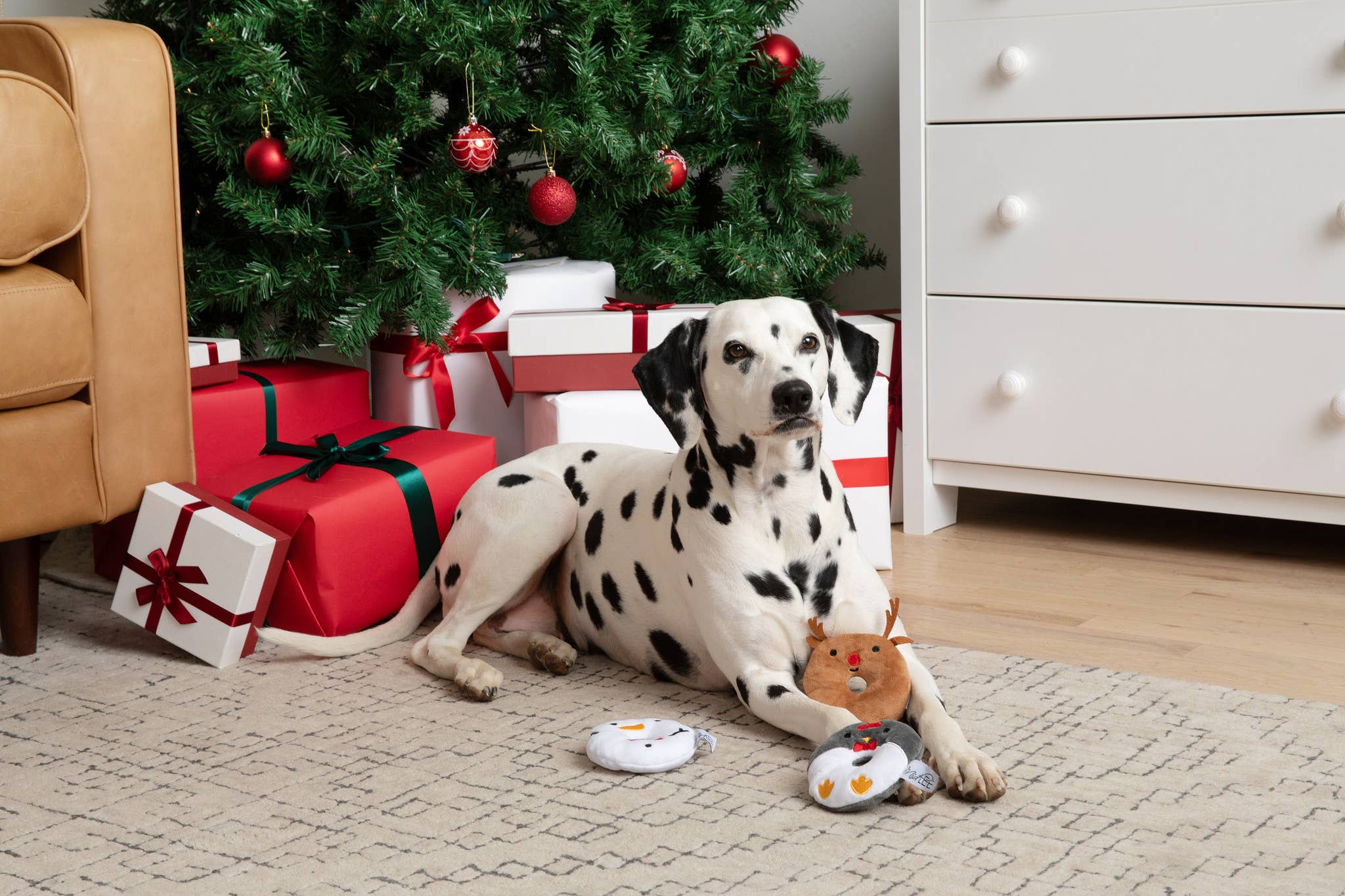 Midlee Designs – wholesale Mjukisdjur - Hund – Midlee Designs juliga hundleksaker i form av munkar – 3-pack2