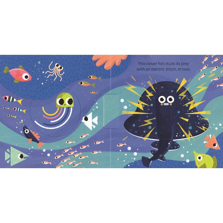 EDC Publishing - Wholesale Preschool Book (3-5) - Animal Magic: In the Ocean4