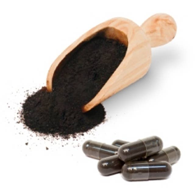 Sunfood Superfoods - Wholesale Oral Supplement/Vitamin - Shilajit Capsules, 500mg, 90ct