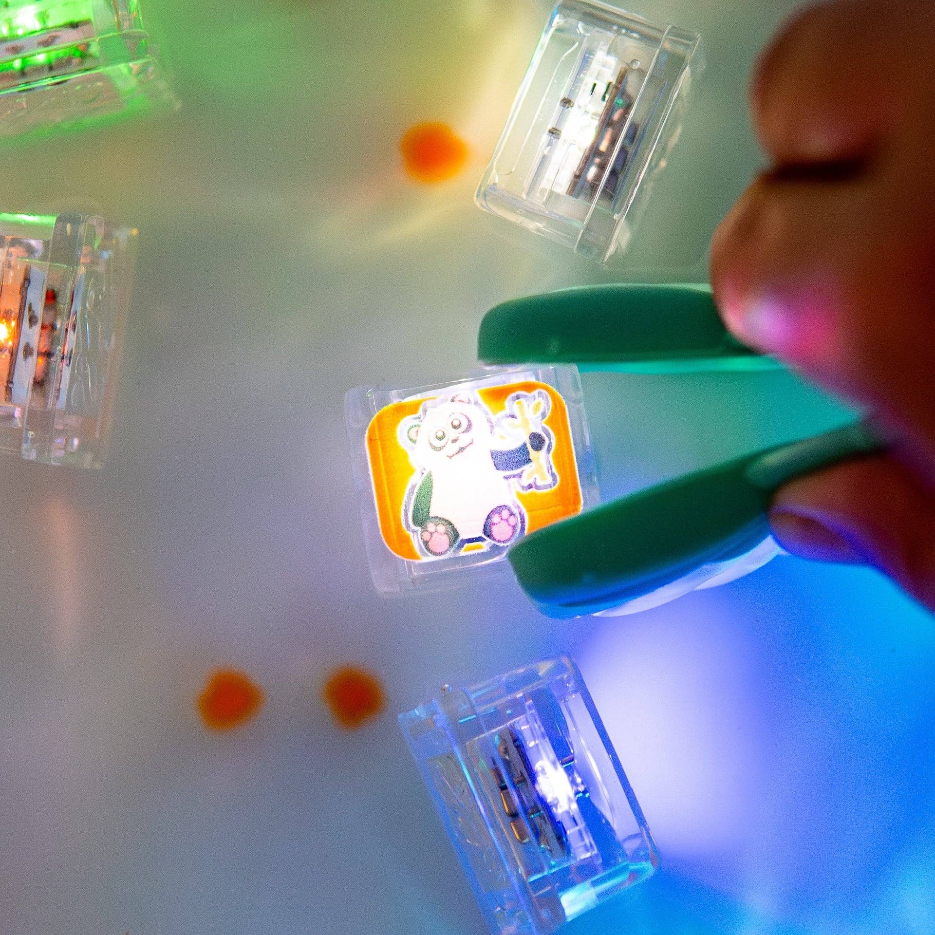 Jellystone Designs - Vente Jouet lumineux – enfant et bébé - ÉPUISÉ ! - Édition Limitée Cubes Lumineux, Lot de 6 Animaux du Zoo1