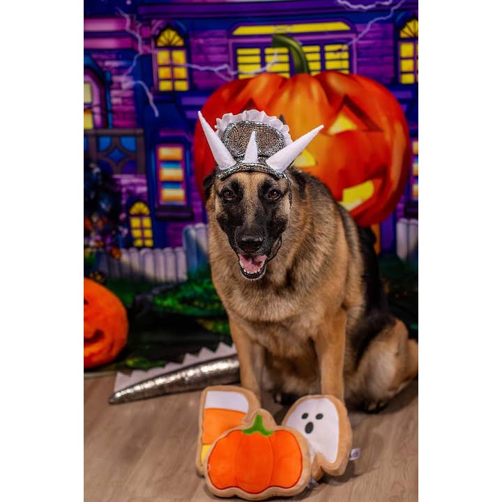 Midlee Designs - Wholesale Pet Plush Toy - Dog - Midlee BOO Sugar Cookie Halloween Plush Dog Toys10