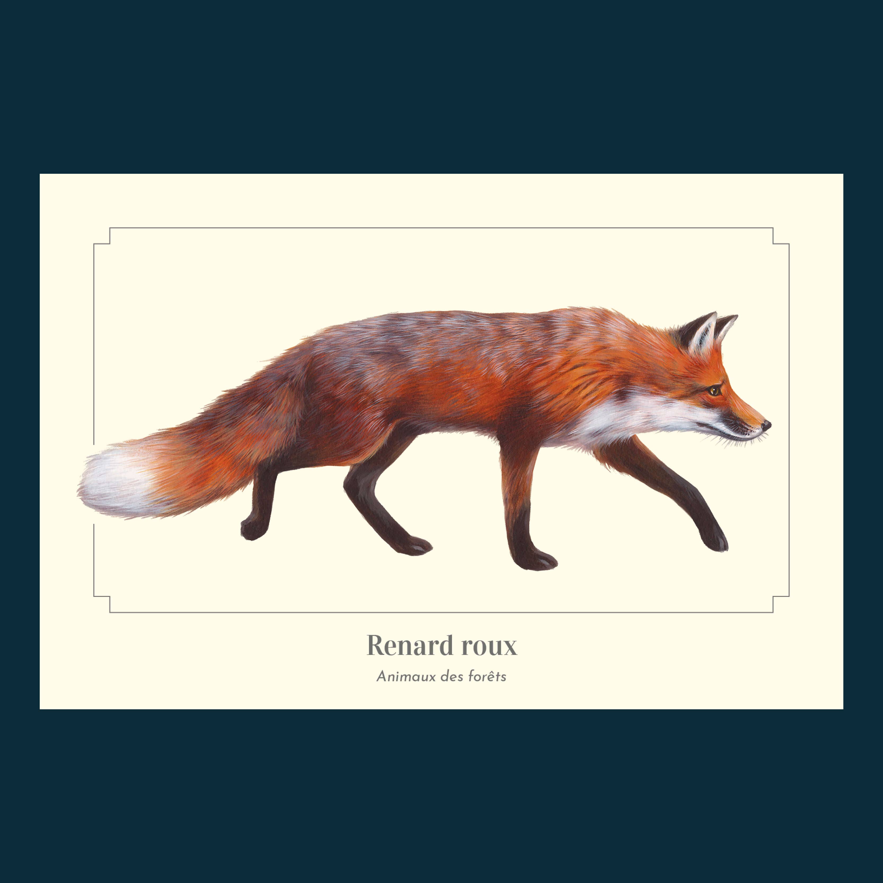 Longue-vue - Wholesale Postcard - Red fox - Postcard2