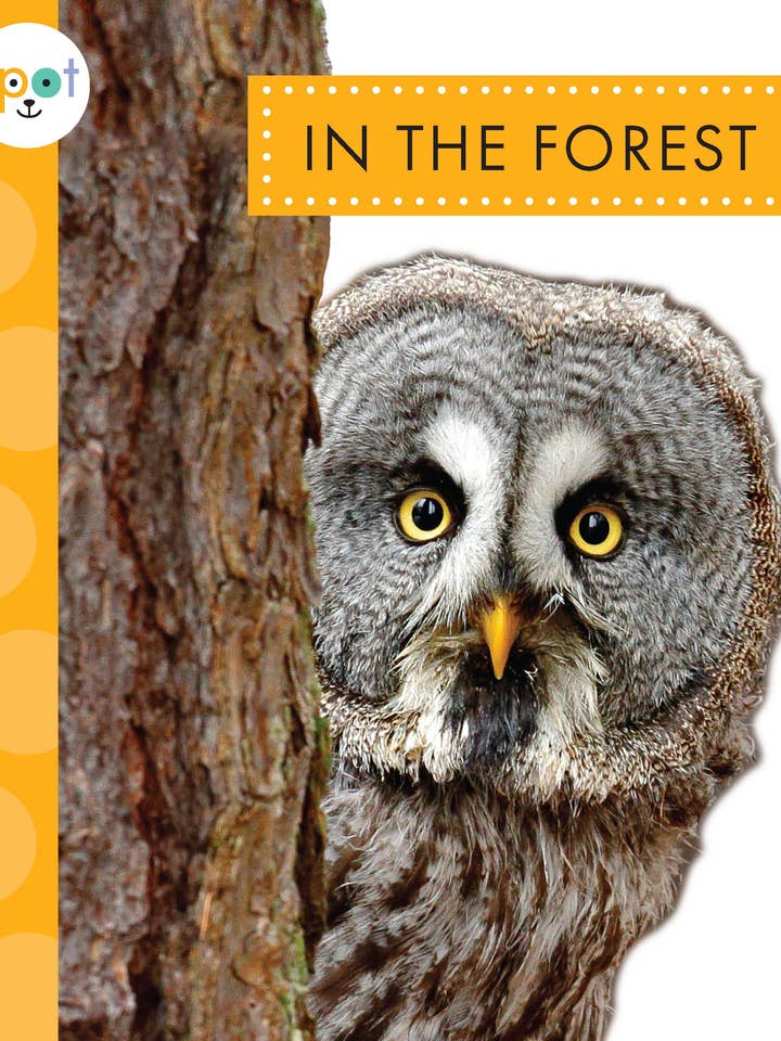 Nella foresta per la vendita all'ingrosso da parte di Amicus Publishing