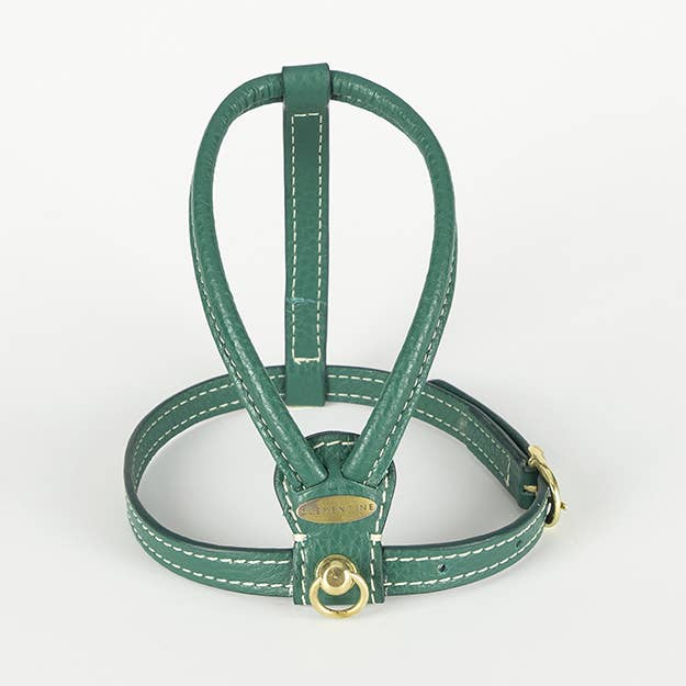 Sitwell Hundegeschirr — Grün, extra klein für den Großhandel von Clementine est dogs