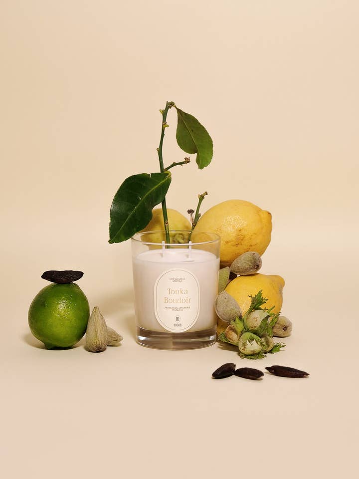 Tonka Boudoir 220g for wholesale by Maison Maison