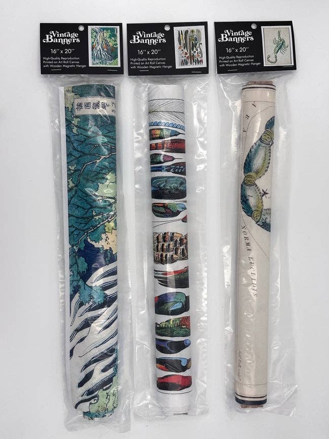 Vintage Banners - Wholesale Art Print - Fleurs by Adolphe Millot botanical prints Canvas Wall Print with Magnetic Hanger6