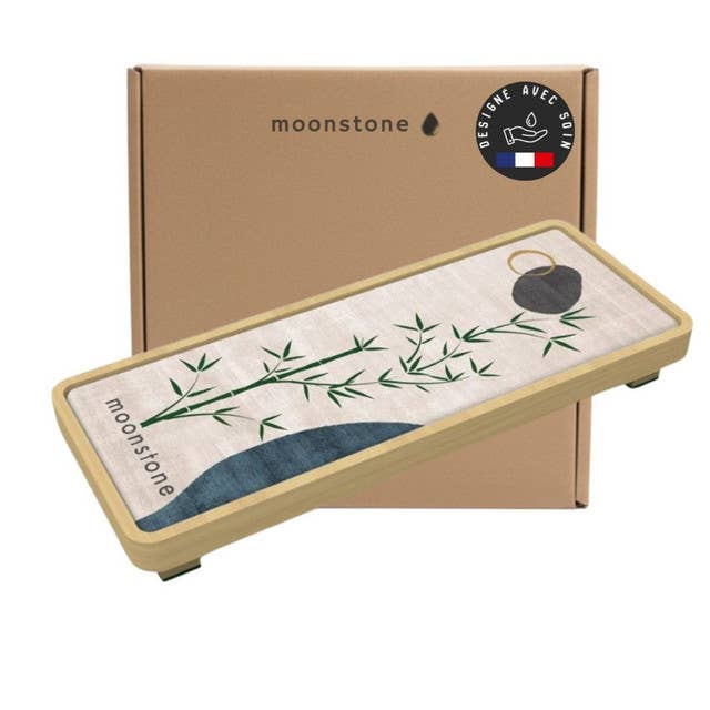 RANGEMENT STELLA EN DIATOMITE ET BAMBOU - PLANTE DE BAMBOU pour la vente par moonstone