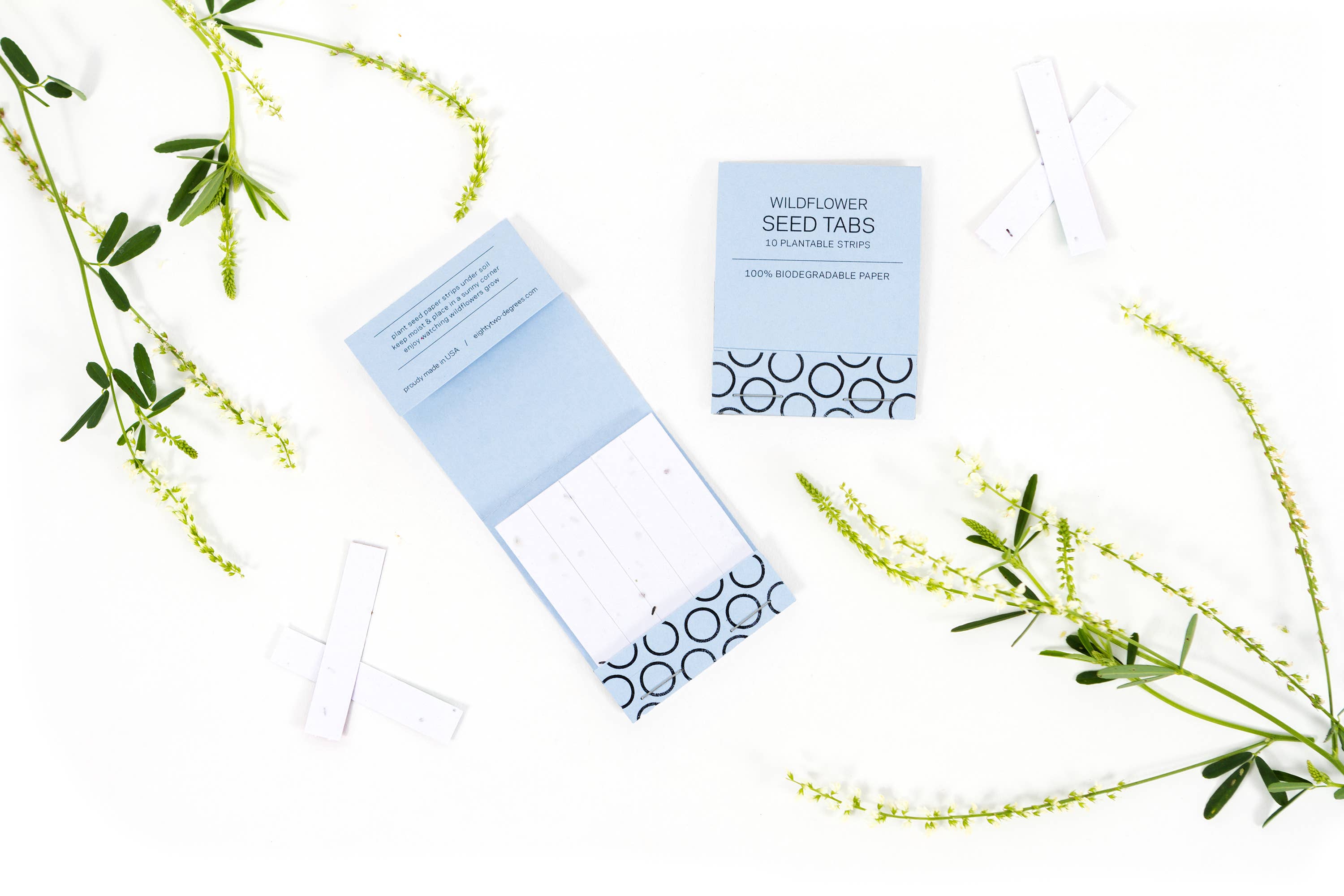 Studio 82° - Wholesale Plant Seeds - Wildflower Seed Tab Booklet - Mustard Yellow11