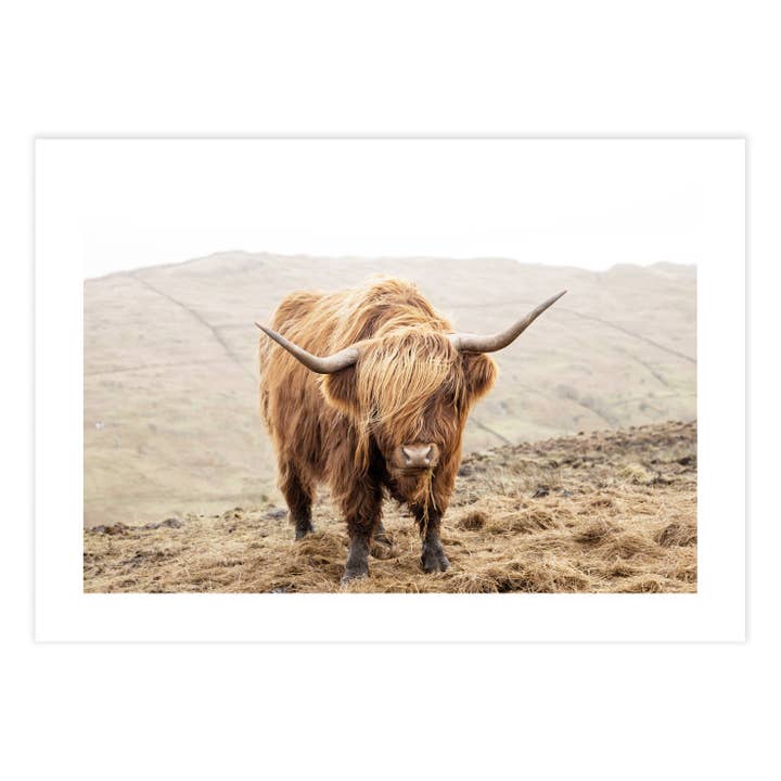 Highland Morning Photography for wholesale by Ellisimo