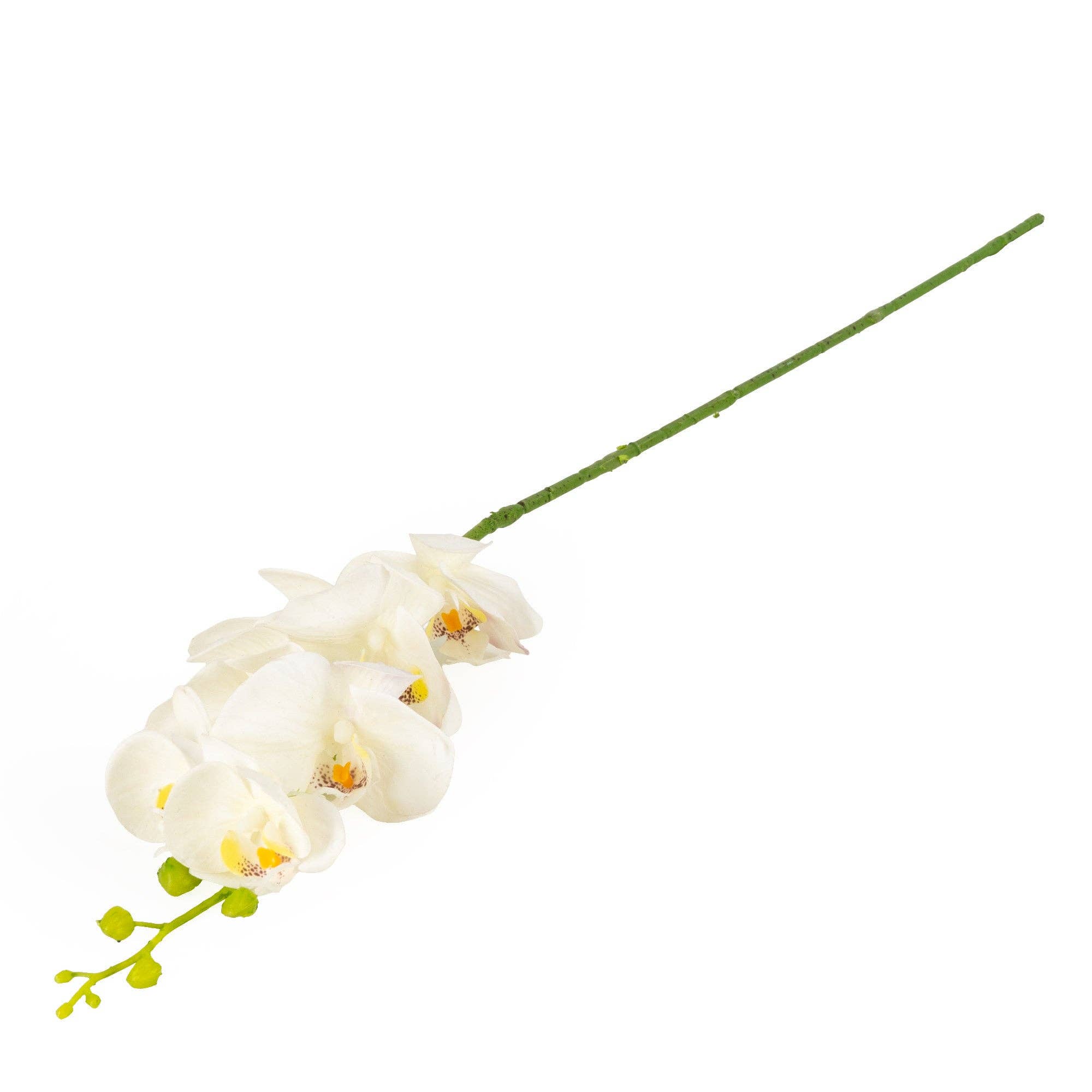 Candlelight Products Ltd – wholesale Artificial flowers – 86cm Real Touch Butterfly Orchid 10PK0