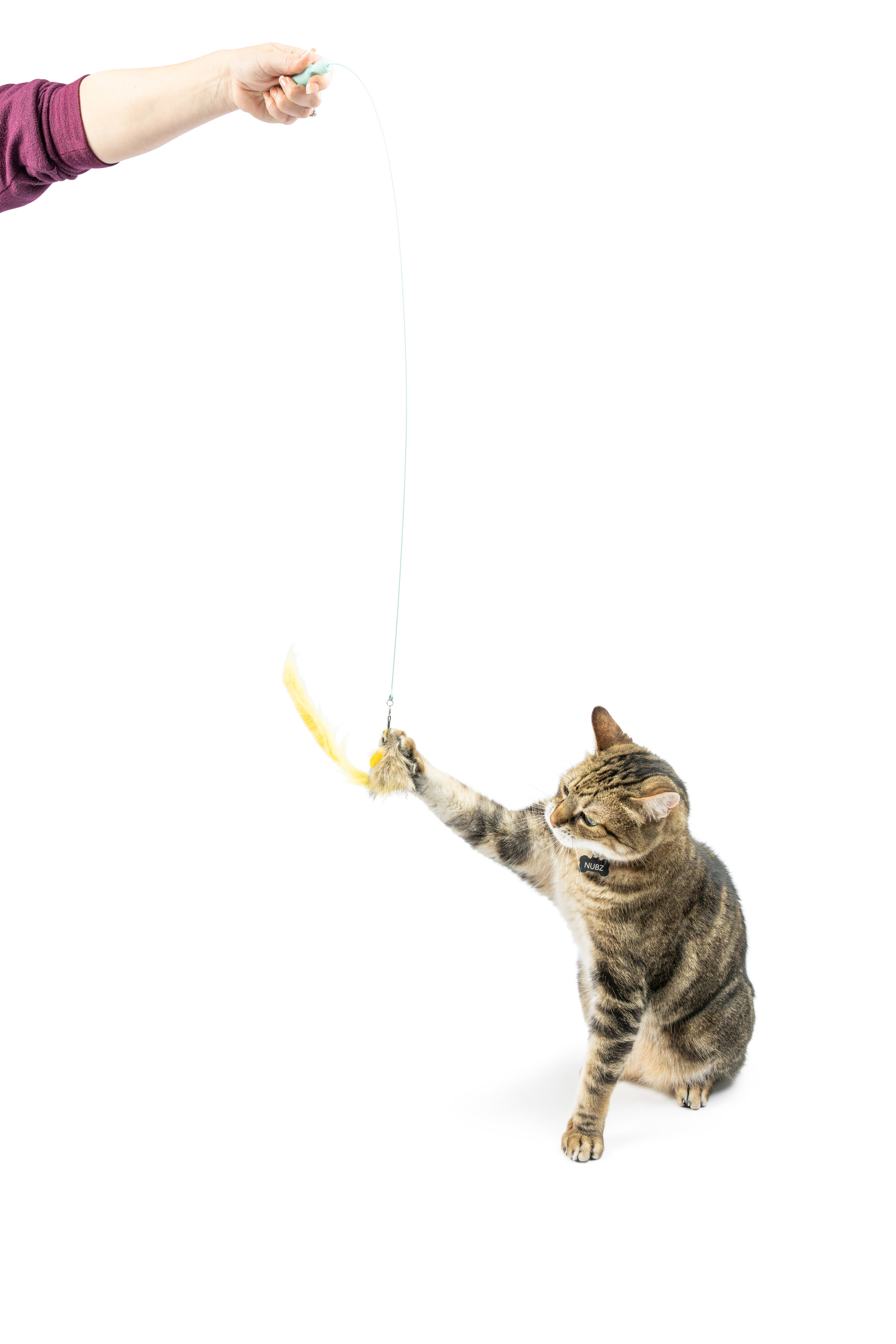 Huxley & Kent - Wholesale Pet Toy - Cat - Wire Dragonfly & Mouse Wand Cat Toy5