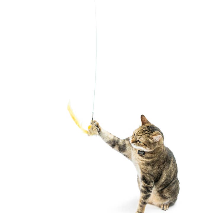 Huxley & Kent - Wholesale Pet Toy - Cat - Wire Dragonfly & Mouse Wand Cat Toy5
