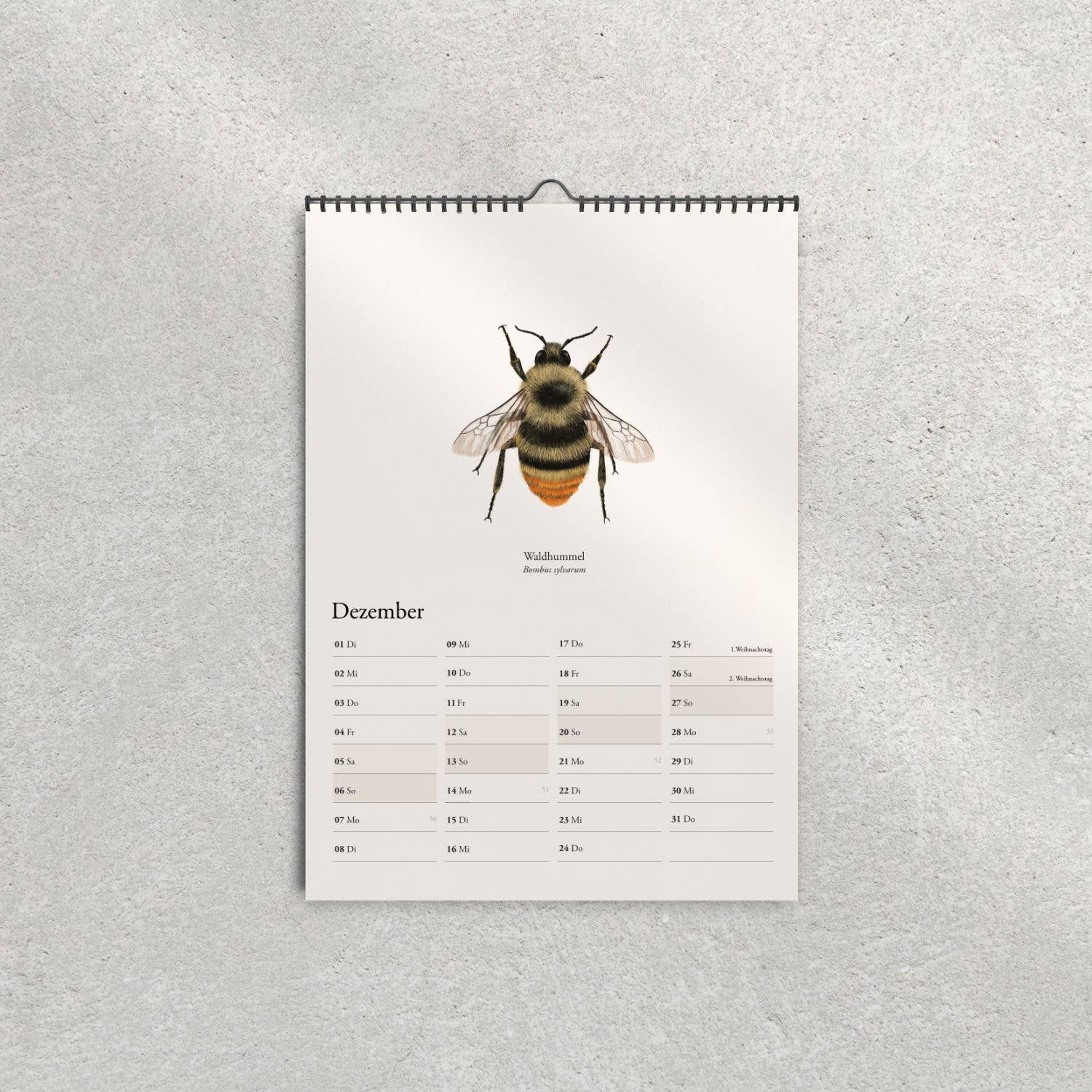 Terillu - Wholesale Calendar - Wall calendar 2026 with native bumblebees – Nature calendar in9