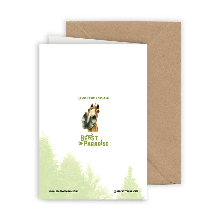 Beast Of Paradise - Wholesale Birthday Card - Horse Birthday Card, Animal Greeting Card, Funny Cards