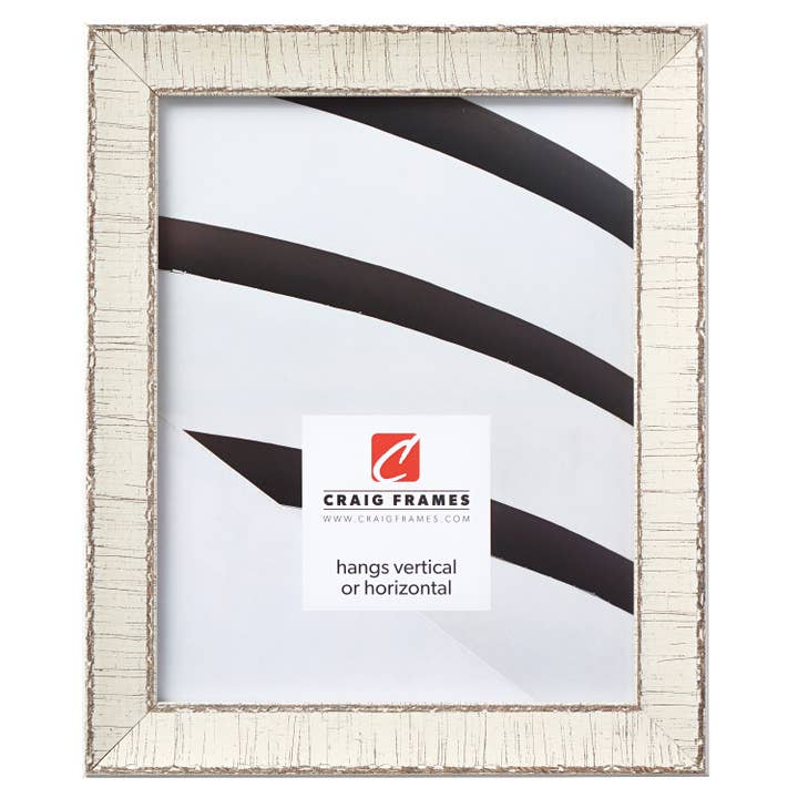 Craig Frames - Wholesale Picture Frame - 18x24 Picture Frame, Maréa Birch Bark White, Assembled