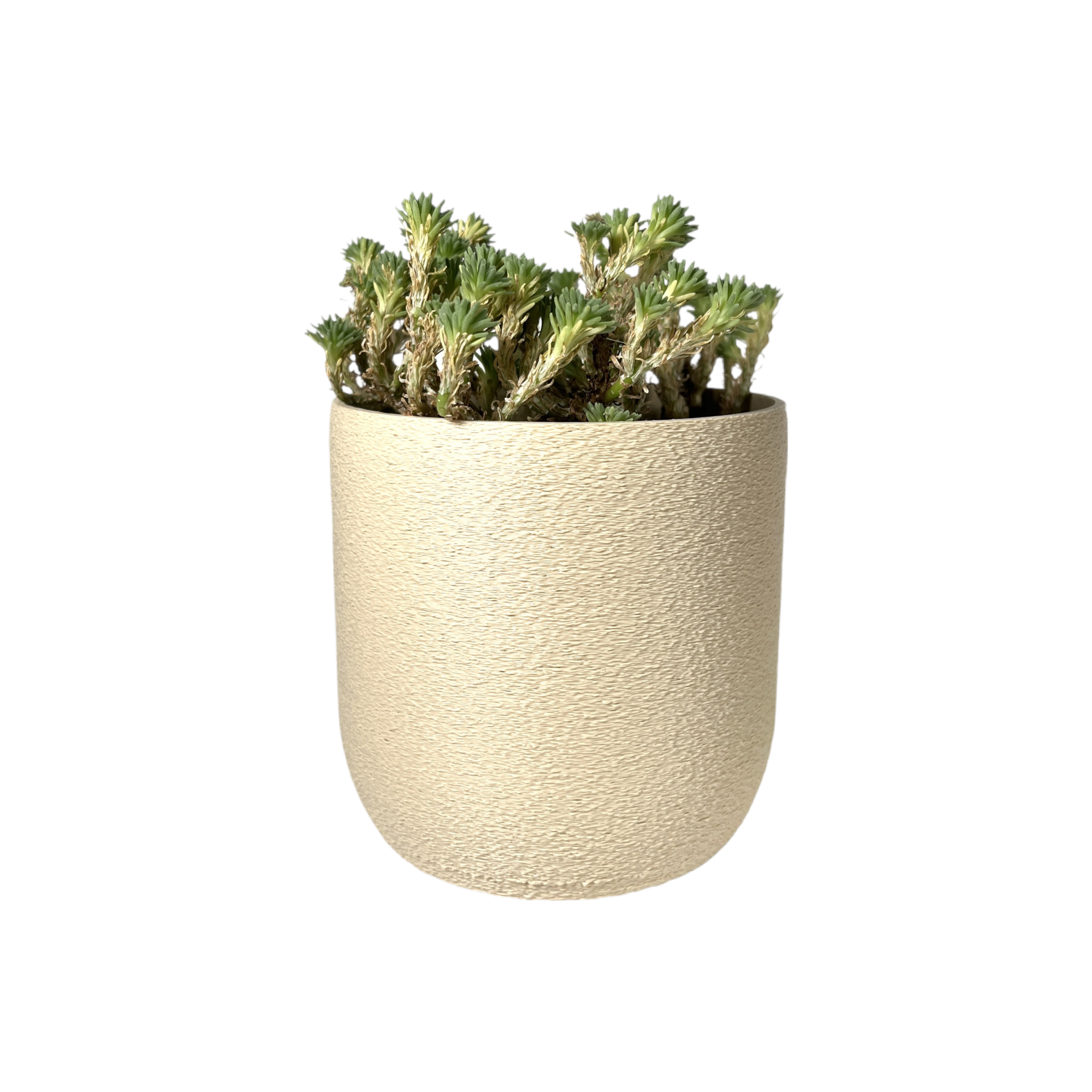 Leafprints.3d - Wholesale Plant Pot - The Moss – 4 Inch Cover Pot (No Drainage)6