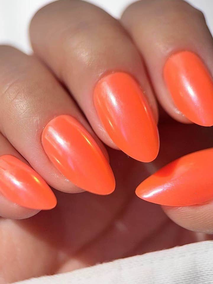 Ibiza for wholesale by Celebritips