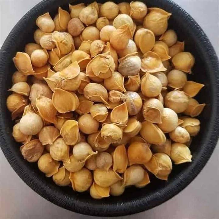YERBERO - Wholesale Herbs - Yerbero - Ajo Japones - Multiple Sizes - Japanese Garlic Chinese Garlic Ajo Chino Premium Quality Wildcrafted All Natural Big Size Cloves