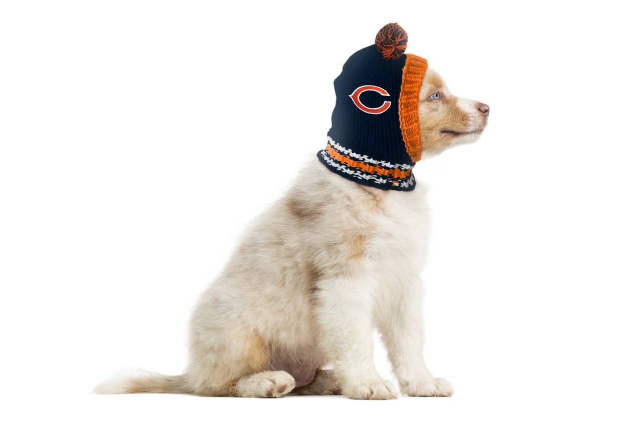 chicago bears dog jersey