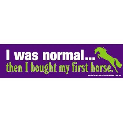 Horse Bumper Sticker / I Was Normal Then I Bought... / Funny for wholesale by Horse Hollow Press