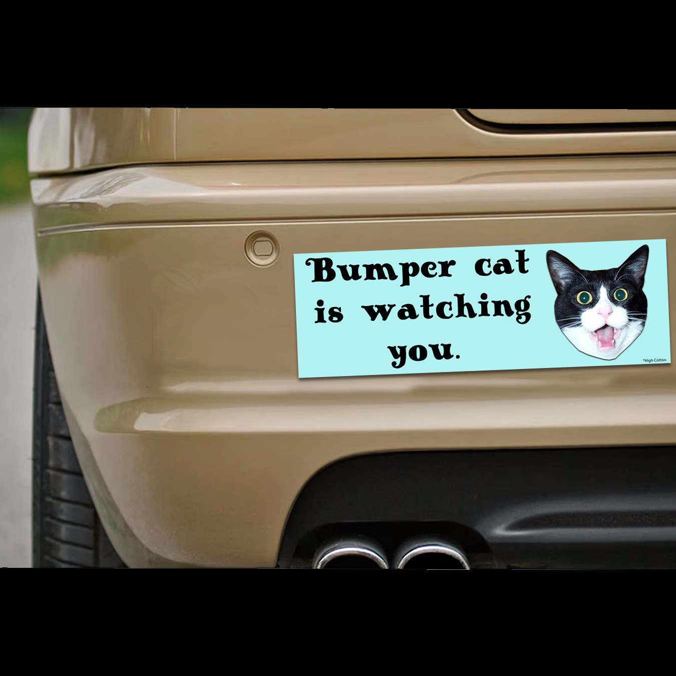 High Cotton Gifts – wholesale Magnet – Bumper Cat Car Magnet1