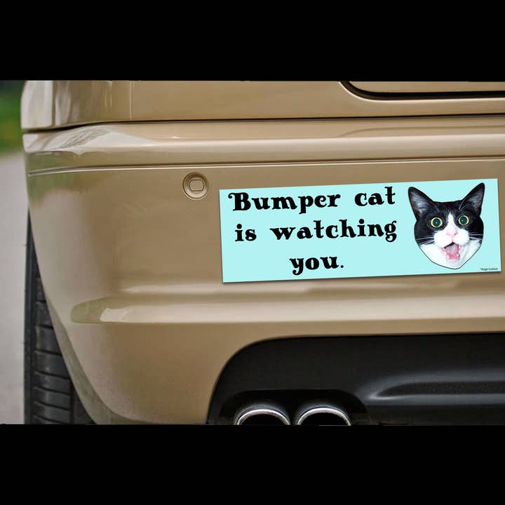 High Cotton Gifts – wholesale Magnet – Bumper Cat Car Magnet1