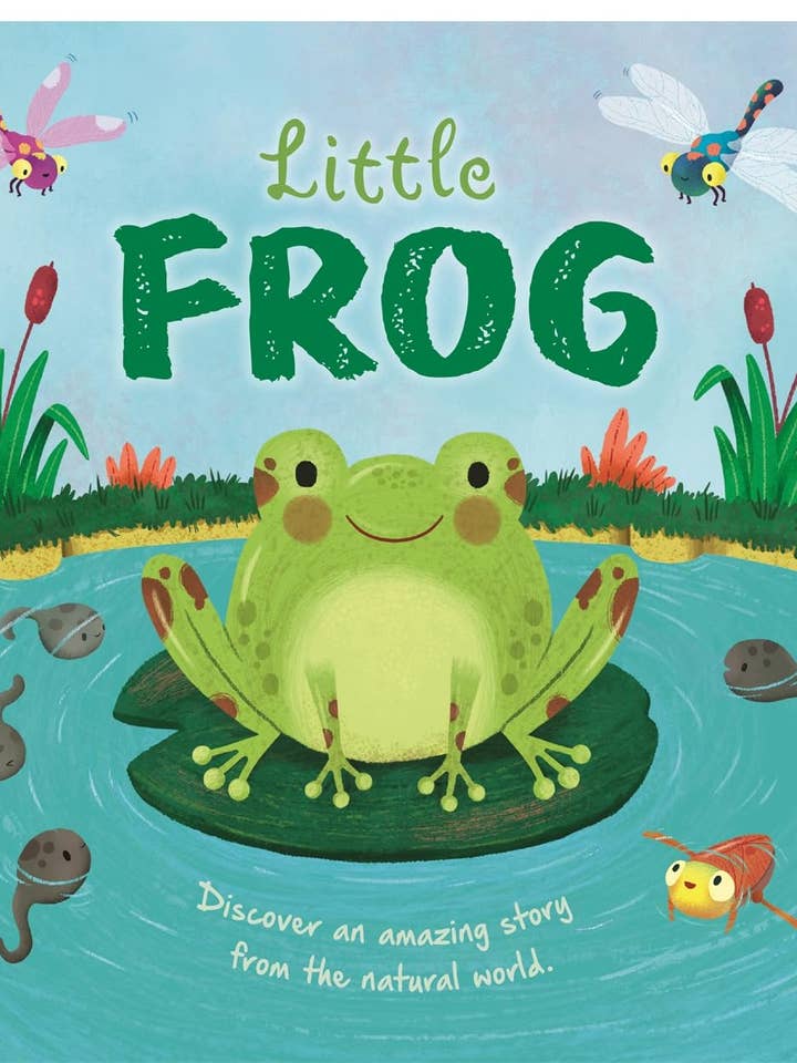 Little Frog for wholesale by Igloo Books