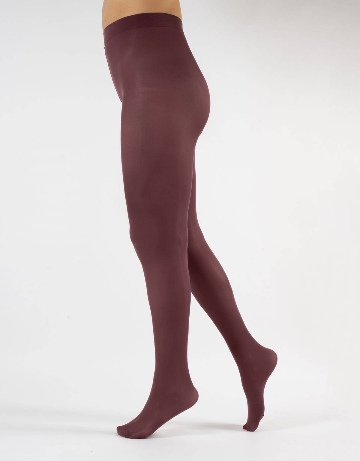 Cette – wholesale Tights – Women's – Opaque Tights, Recycled Tights, Sizes up to 4XL, Pantyhose23