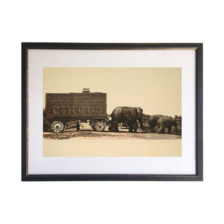 Circus Photo Matted*217 for wholesale by Antique Curiosities Inc
