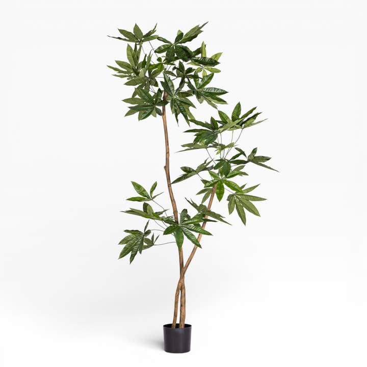 6' Money Tree FP1413 for wholesale by Replica Plants and Decor