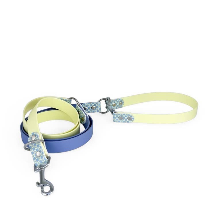 Splash By Happy - Wholesale Pet Collar - Dog - 🌼 Happy Flower 🌼19