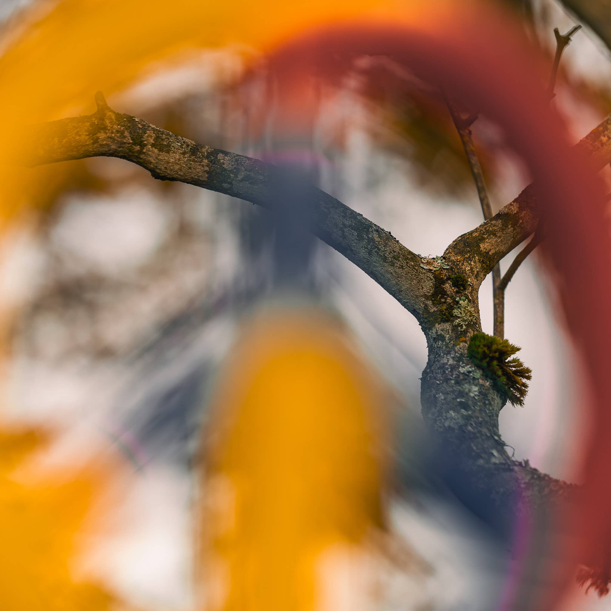 Cohasset Gifts - Wholesale Wind Chime - Peace Sign Bamboo Wind Chime3