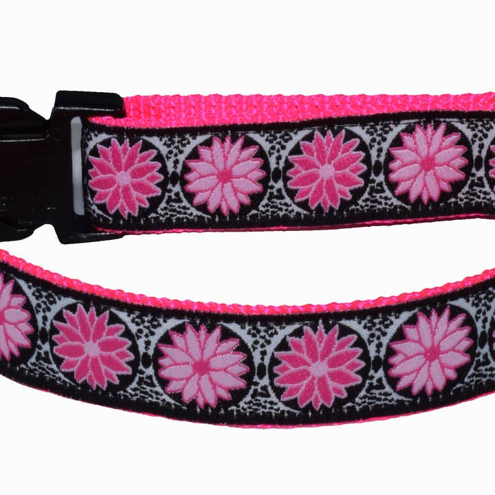 Dog Collar, Daisy Pink for wholesale by Colorful Collars