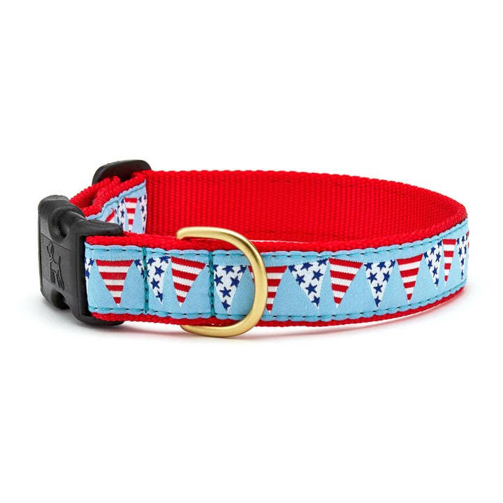 Party in the USA Dog Collar for wholesale by Up Country, Inc.