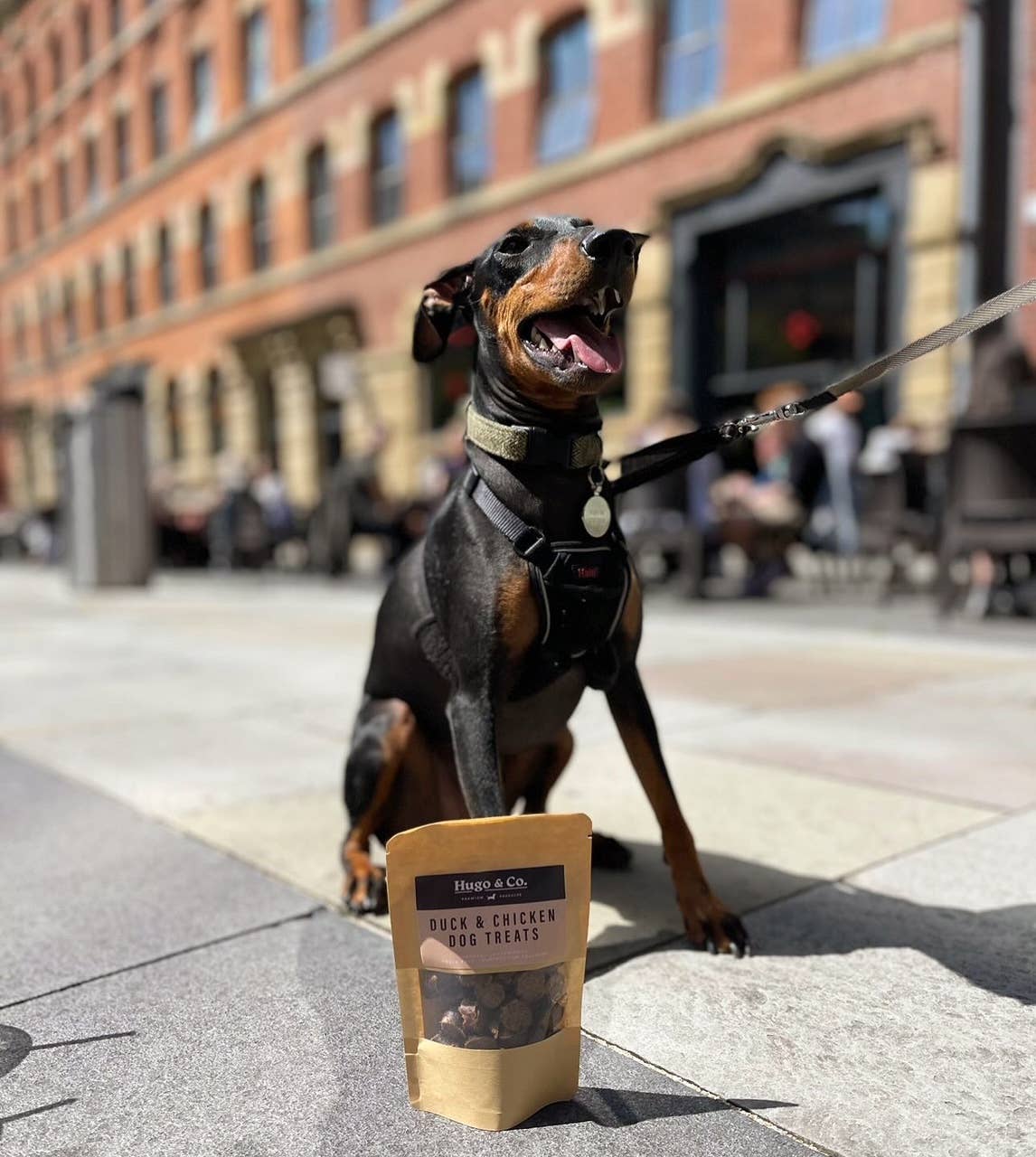 Hugo & Co Dog Treats - Wholesale Pet Treats - Dog - Duck & Chicken Dog Treats1