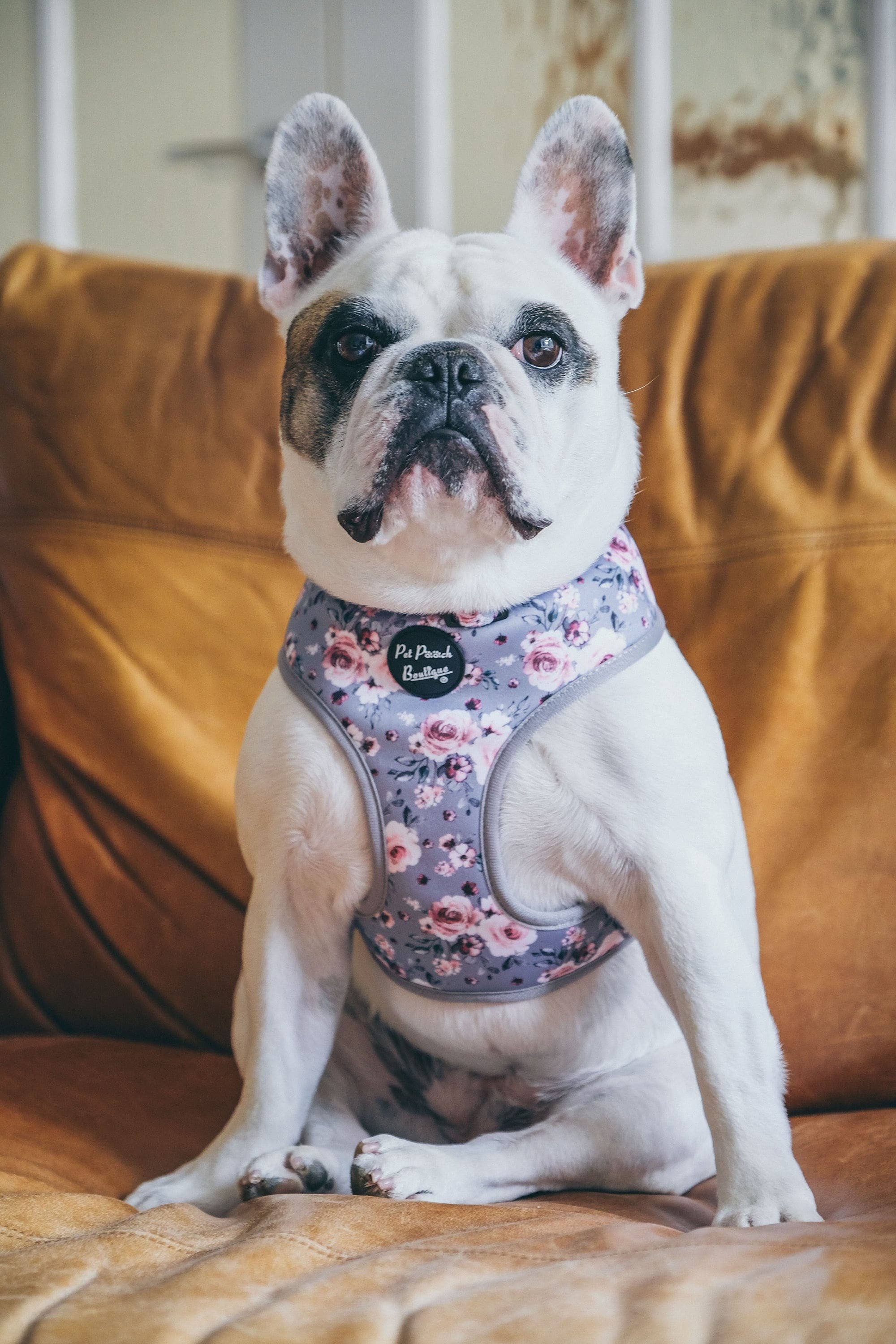 Pet Pooch Boutique – wholesale Pet harness – Dog – Secret Garden Puppy Dog Harness/Optional Accessories/Wedding4