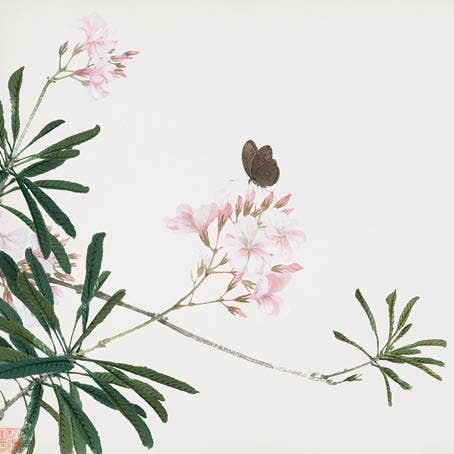 CATCH 12X12 DOUBLE CARDS 219393 for wholesale by Phenicia