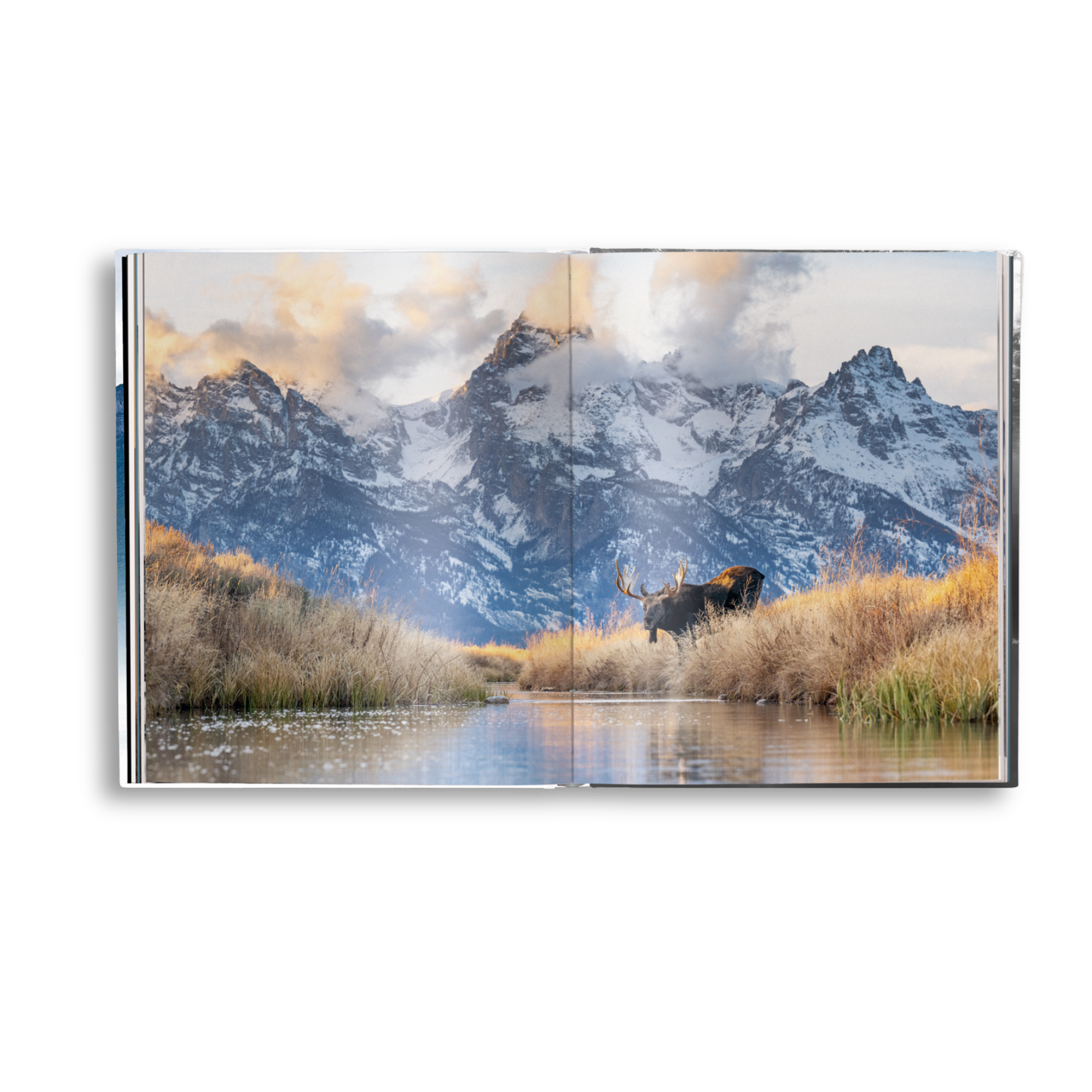 gestalten & teNeues - Vente Livre à exposer - Création5