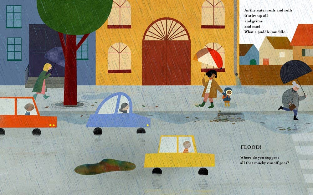 W. W. Norton - Wholesale Nature & Outdoors - A Place for Rain8