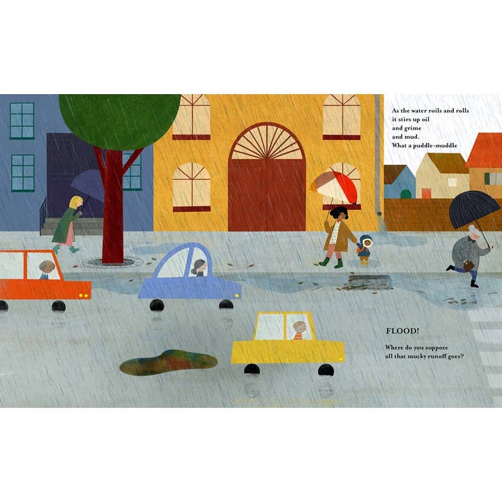 W. W. Norton - Wholesale Nature & Outdoors - A Place for Rain8