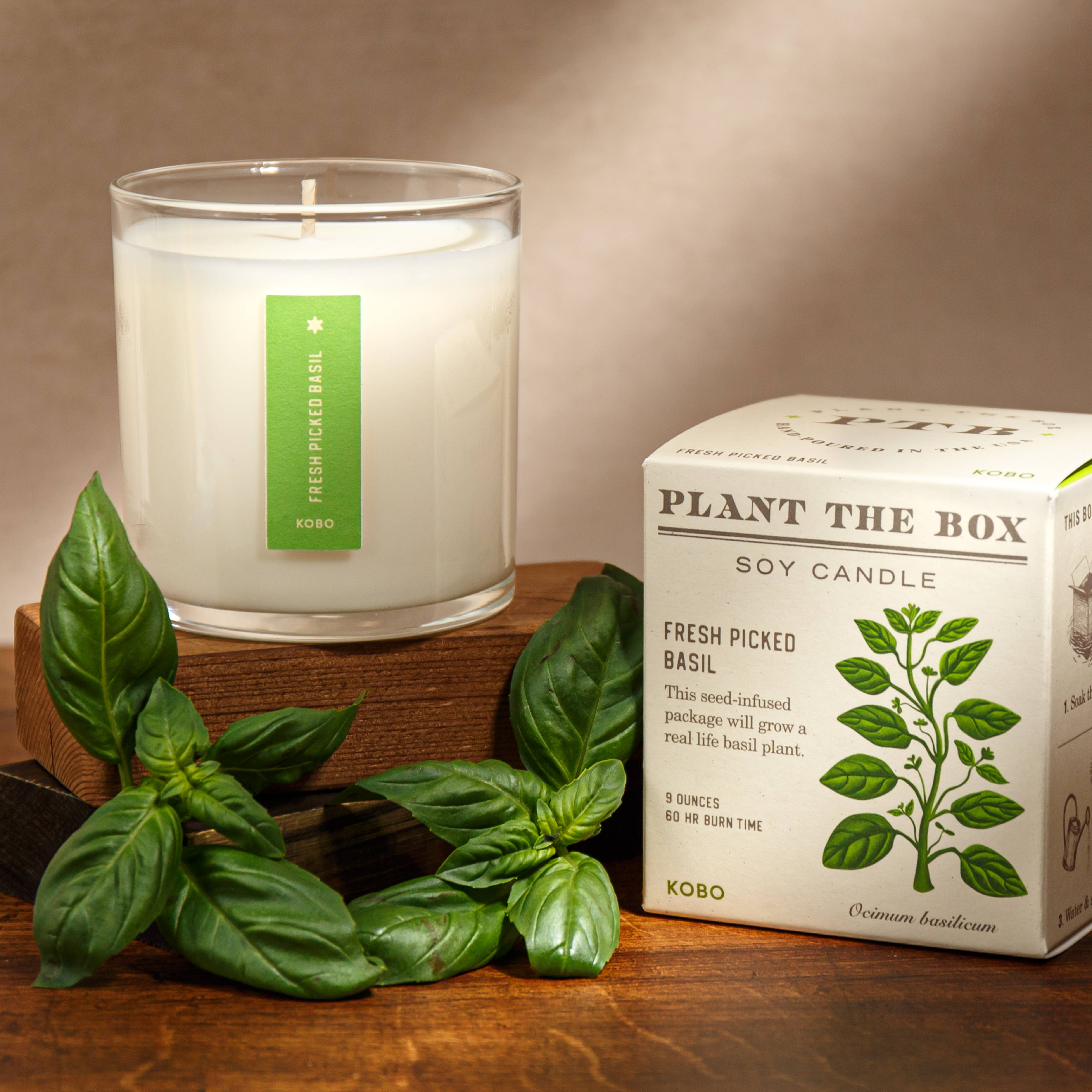 KOBO - Vendita all'ingrosso Candela in vasetto - Basilico Fresco Raccolto - Candela Plant the Box - 9oz.1