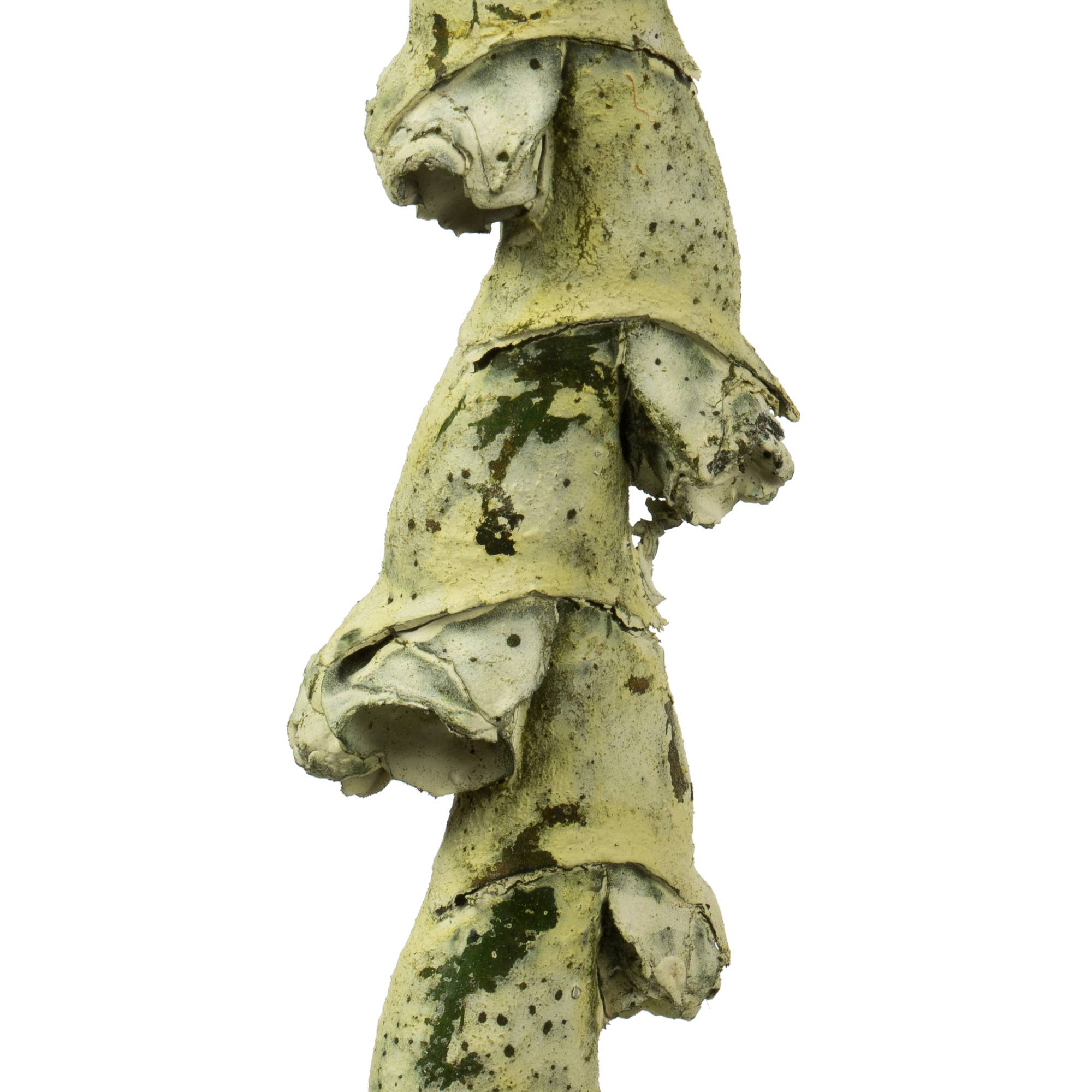 Vickerman 40-48" Spring Green Ladder Branches 7Pk for wholesale on Faire2